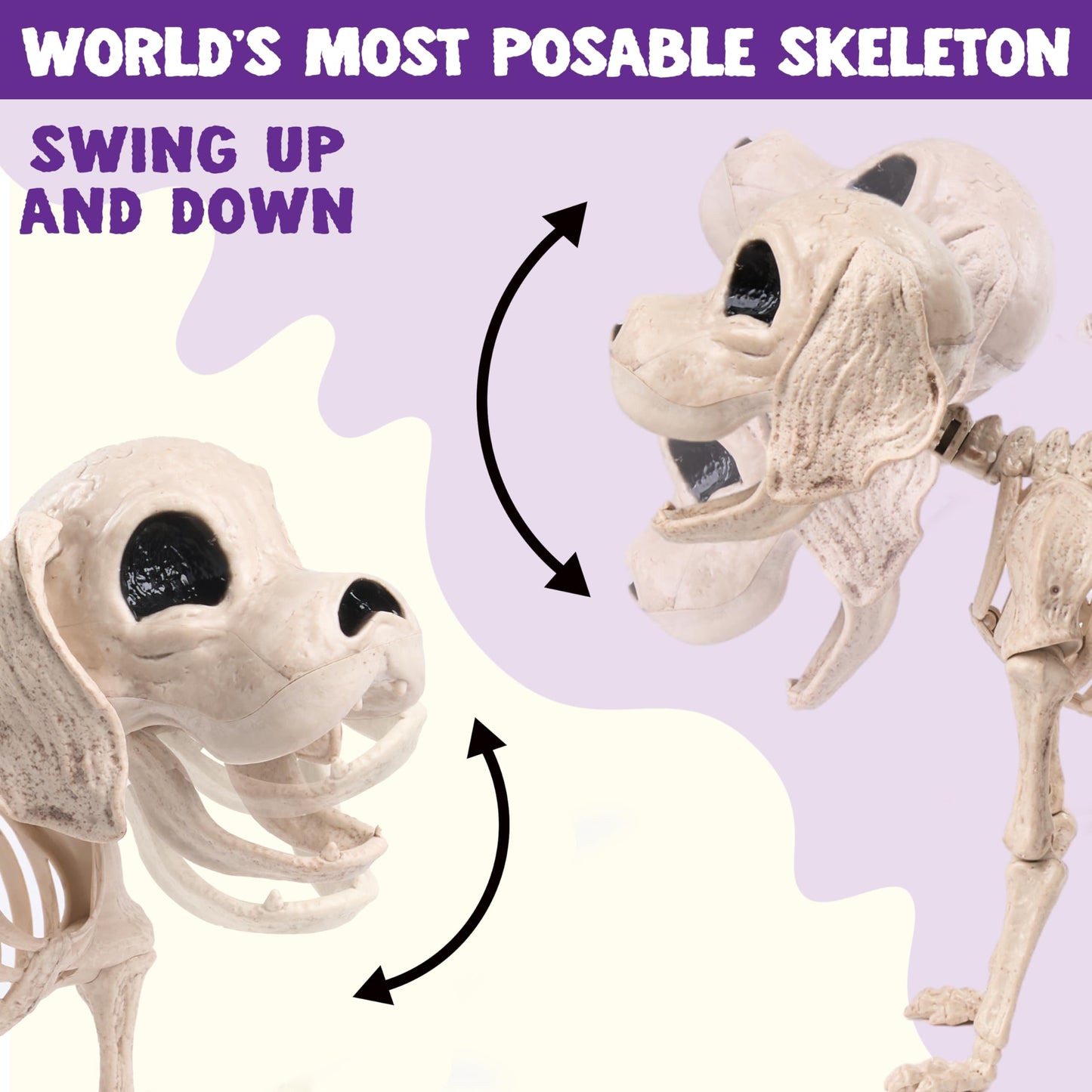JOYIN Posable Halloween Dog Skeleton Full Body Posable Joints Realistic Skeleton Puppy with Movable Joints for Halloween Decoration, Graveyard Party Decor (9.8” X 4.7” X 12.6”)