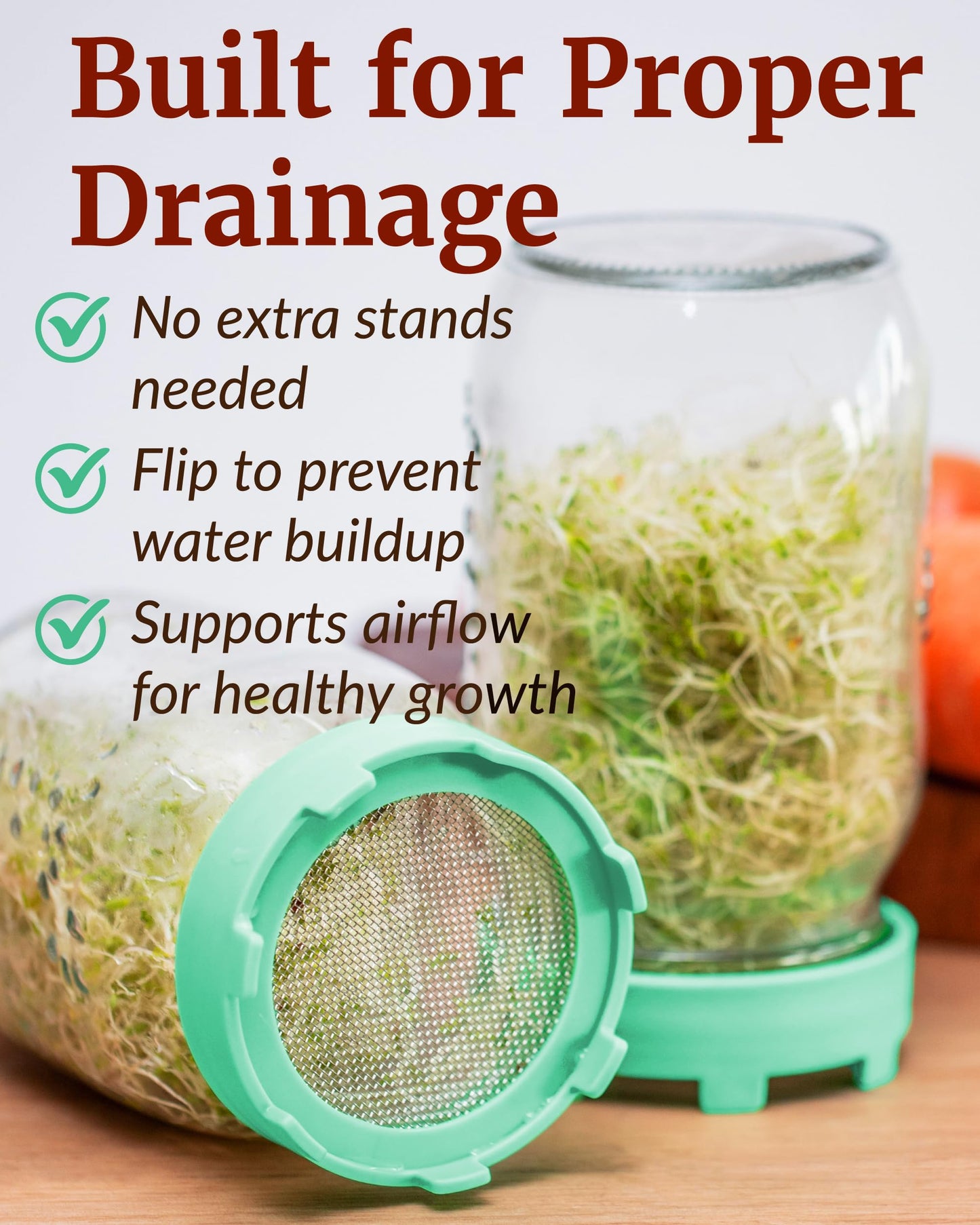 Elementi Sprouts Growing Kit for Wide Mouth Mason Jars, Set of 2 Sprouting Lids for Organic Alfalfa & Mung Bean Sprouts Grow Kit, 316 Stainless Steel Mesh Screen Strainer Lid (Sage Green)