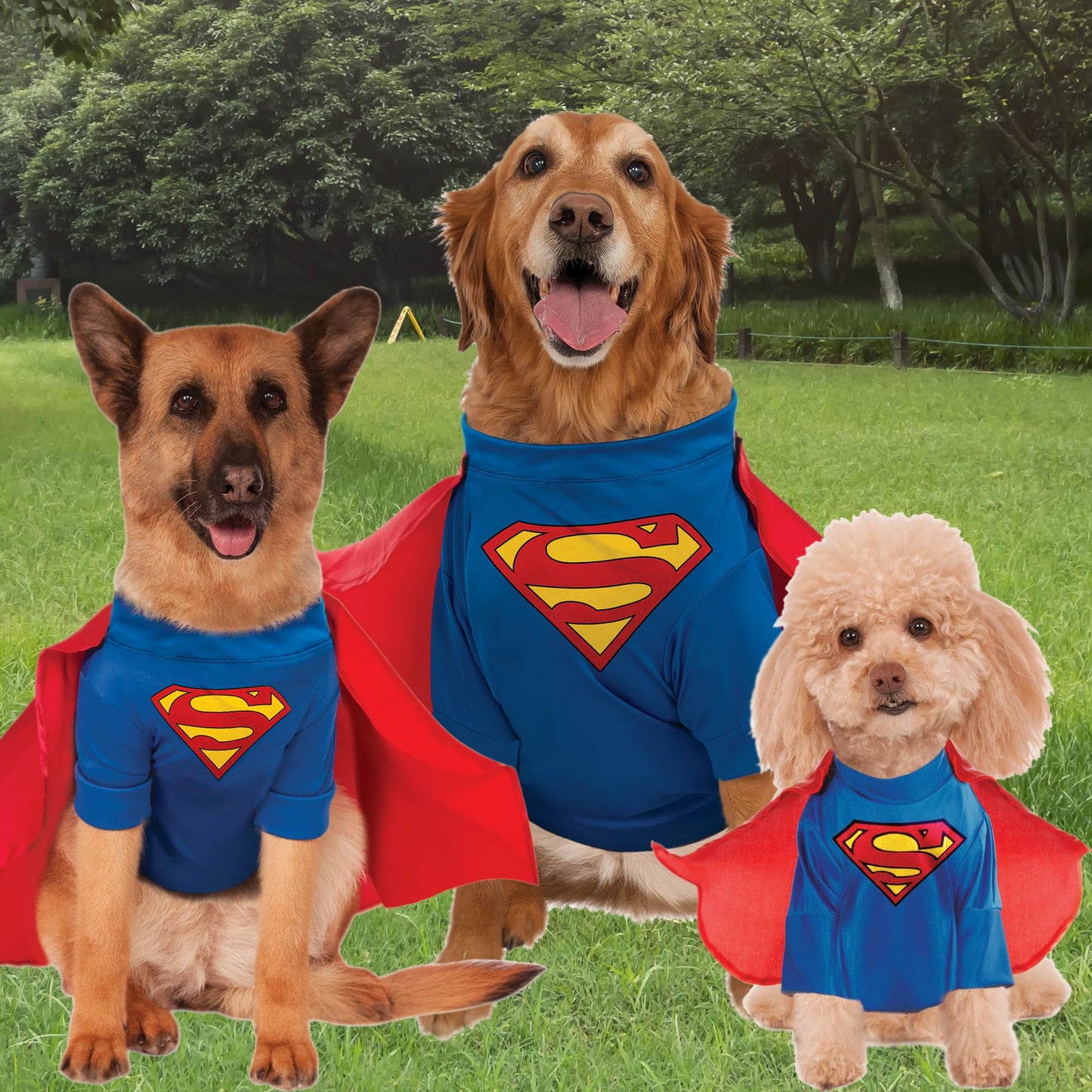 DC Comics Superheroes: Superman Pet Costume for For Dogs or Cats by Rubies, Small
