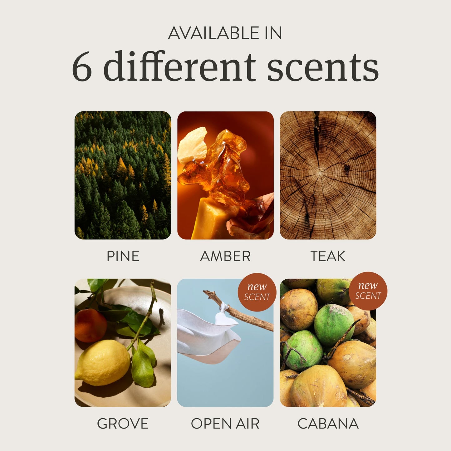 Drift Car Air Freshener - Wood Fragrance - Automotive Odor Eliminator - Car Fresheners Long Lasting - Variety Scent Refill - Pack of 3 - NO CLIP INCLUDED