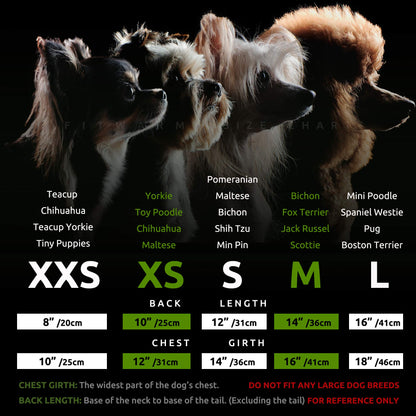 Fitwarm Halloween Skeleton Dog Dress, Funny Dog Halloween Costumes, Doggy Clothes for Small Dogs Girl, Pet Apparel, Black, Red, White, Medium