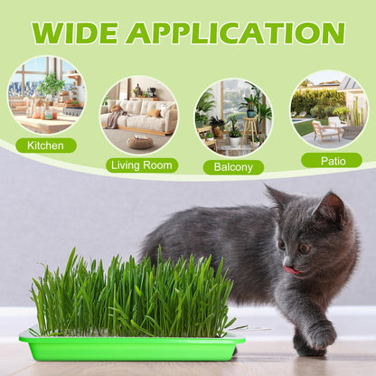 EBaokuup 10Pcs Seed Sprouter Tray with Drain Holes - BPA Free Seed Garden Plant Germination Propagation Trays, Soil-Free Wheatgrass Tray Sprouter Microgreens Growing Kit with Germinating Paper