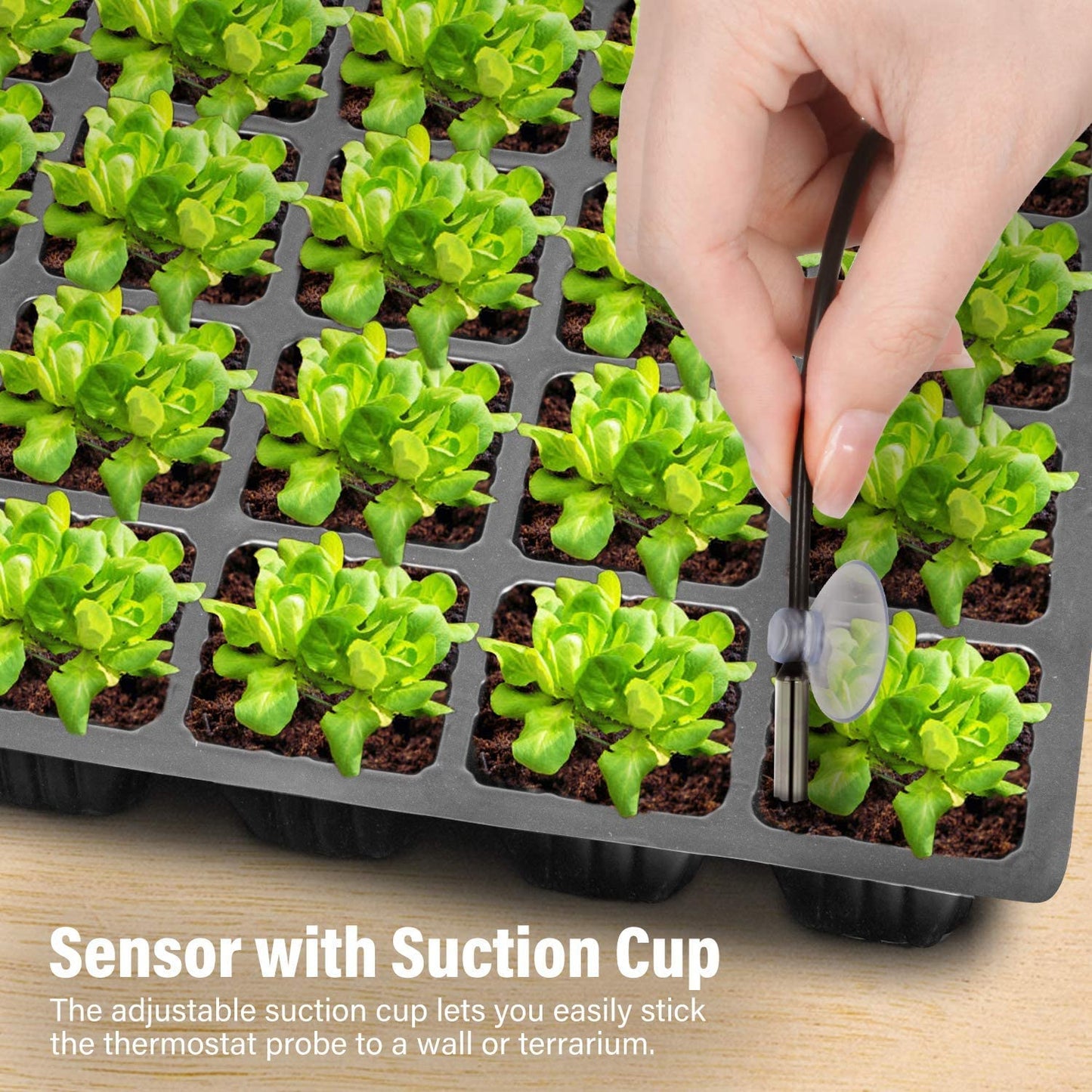 iPower Digital Heat Mat Thermostat Controller for Seed Germination, Reptiles and Brewing Breeding Incubation Greenhouse, 40-108°F, 8.3A 1000W