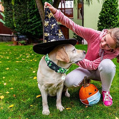 Elegant little tail Halloween Dog Collar, Ghosts Print Fall Male Cute Puppy Adjustable Cotton Pet Collar with Quick Release Buckle for Small Medium Large Dogs