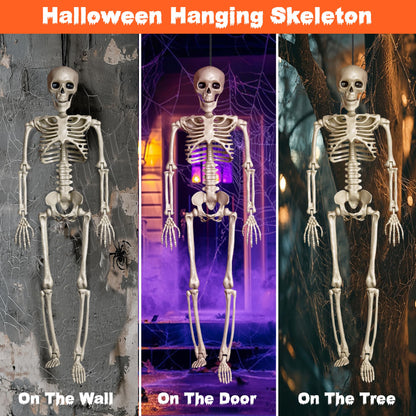 24" Halloween Skeleton Decorations,Full Body Posable,Hanging Skeleton with Movable Posable Joints, Spooky Plastic Skeleton for Yard Garden Lawn Haunted House Graveyard Props Decor