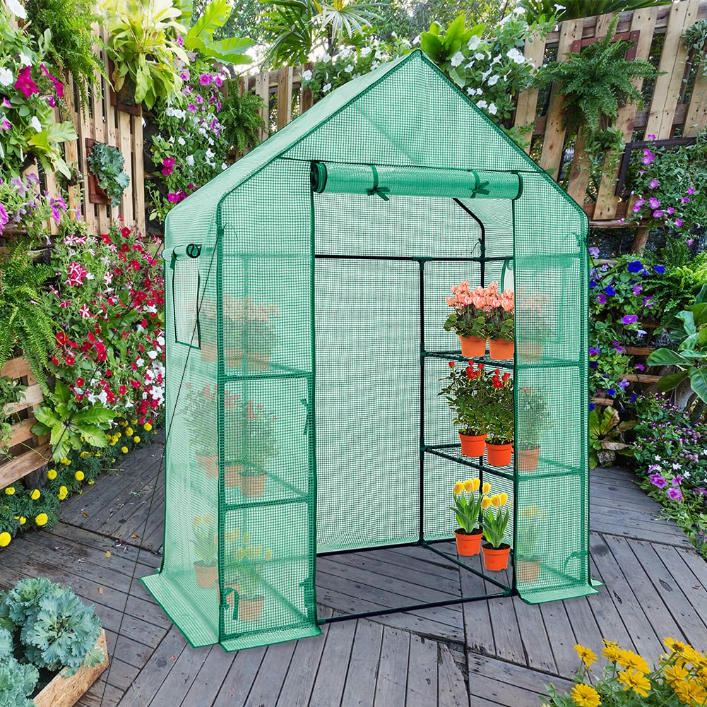 EAGLE PEAK Walk in 3-Tier Greenhouse with Wire Shelves, Portable Indoor and Outdoor Green House with Roll-Up Zippered Door & 2 Roll Up Side Windows, 4 Shelves, 61"x28"x79", Clear/Green PE Cover