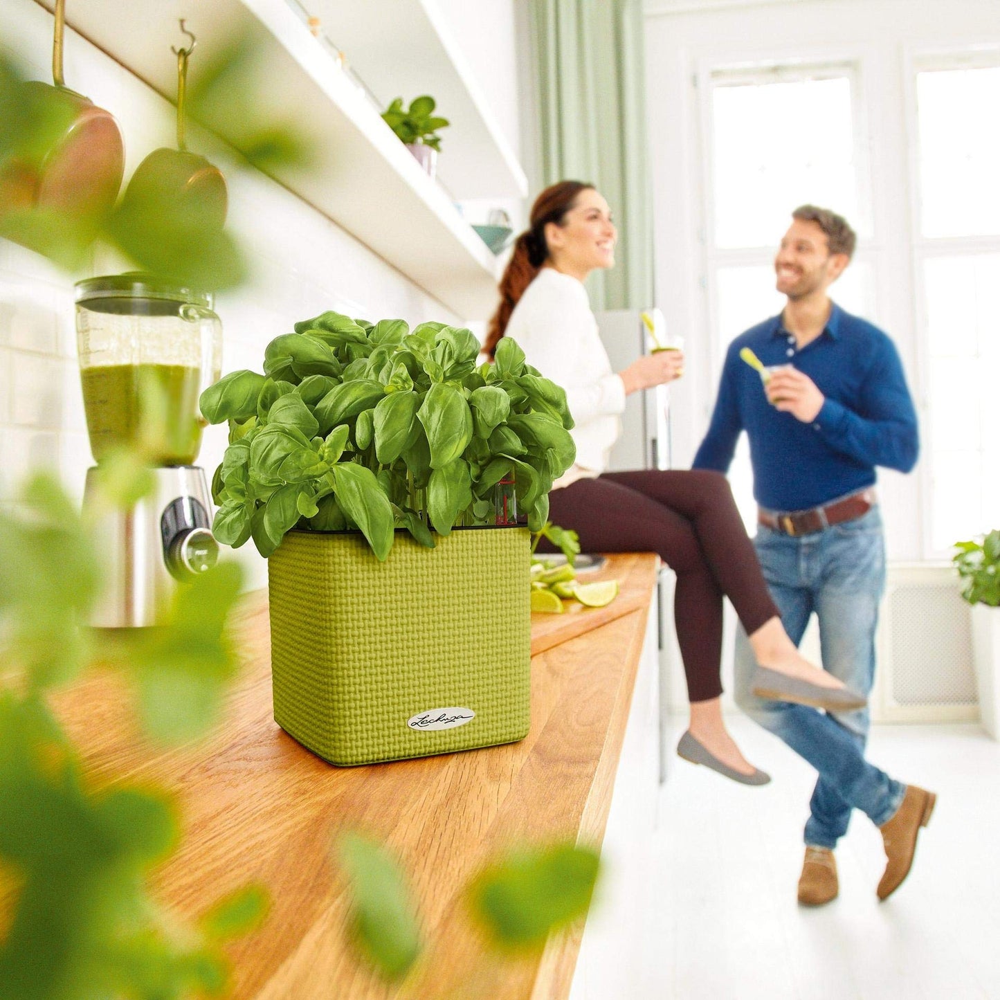 Lechuza Cube Color 16 Self Watering Plant Pot, White, 17 cm Diameterx 17 cm Width x 16 cm Height