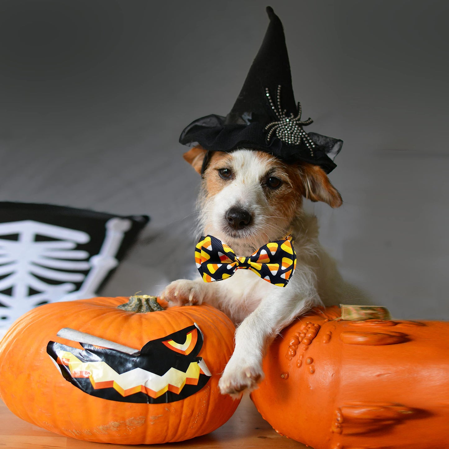 2 Pack Halloween Cat Collar with Bell, Holiday Jack-O-Lantern and Candycorn Collar for Kitty Kitten Male Female Cats (Jack-O-Lantern/Candycorn)