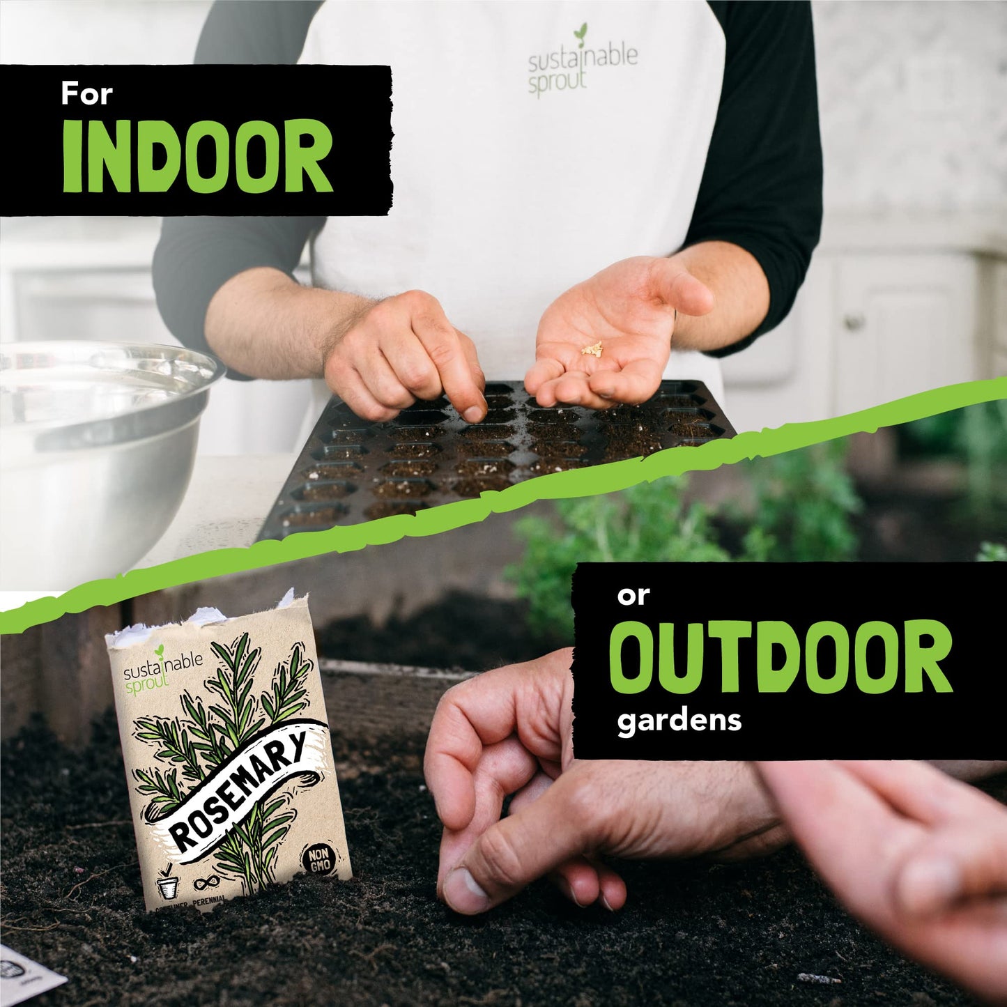 Culinary Herb Seeds Variety Pack: 10 Spice Herbs, Hydroponic Garden Indoors, Heirloom Planting Basil, Parsley, Sage, Thyme, Rosemary, Cilantro, Chives Dill Oregano, Summer Savory by Sustainable Sprout