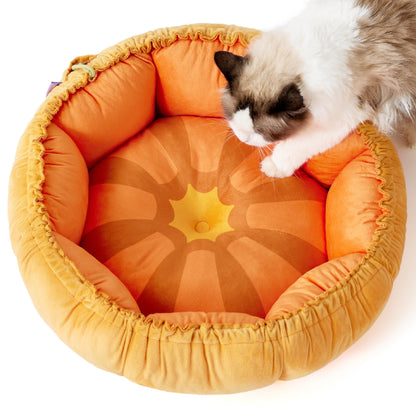 Lesure Cat Beds for Indoor Cats - Washable Cute Cat Beds with Versatile Dual-Use Design, Reversible Donut Pet Bed for Puppy and Kitten, 21x21x7 Inches