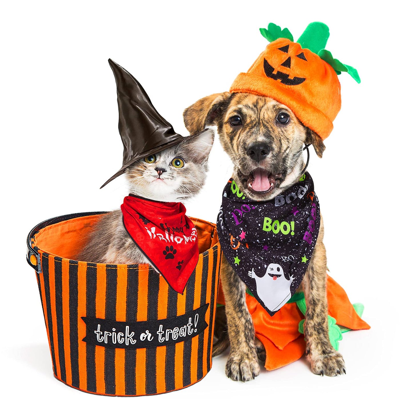 8 Pieces Halloween Dog Bandanas Pumpkin Bat Dog Triangle Bid Adjustable Pet Scarf for Halloween Holiday Costume(Witch Style)