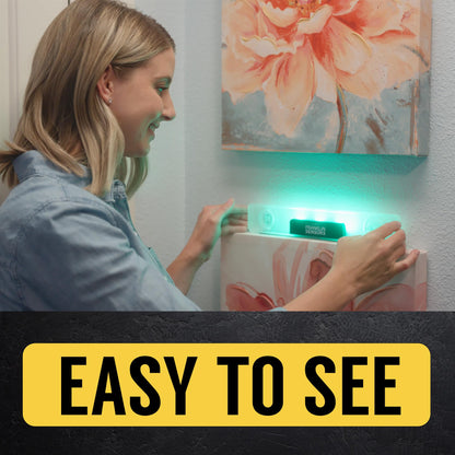 Franklin Sensors Light Level/Digital, Electronic, 12-inch Magnetic Torpedo Level, Vertical and Horizontal Leveler Tool with 2 Bubble Vials