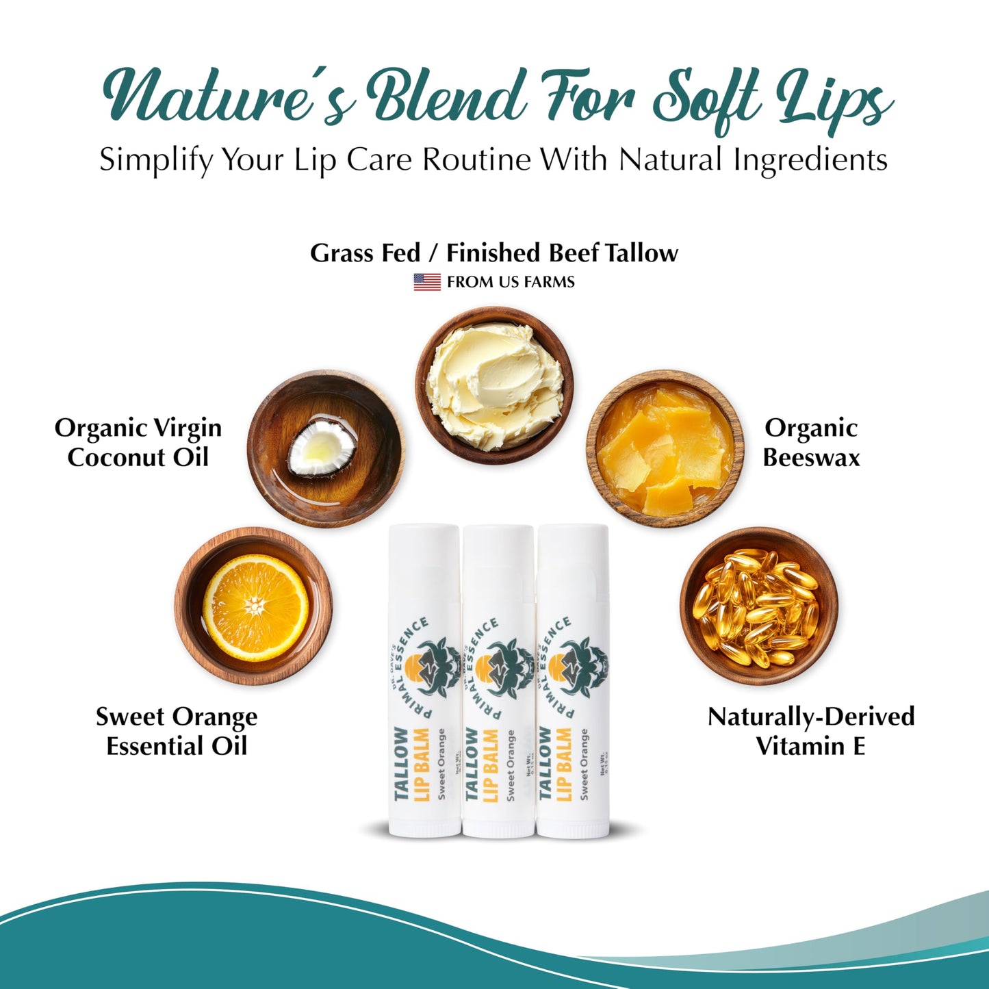 Dr. Dave's Primal Essence Moisturizing Tallow Lip Balm - Grass-Fed Beef Tallow with Organic Coconut Oil, Beeswax and Vitamin E - Sweet Orange, 3-Pack