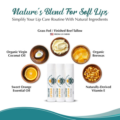 Dr. Dave's Primal Essence Moisturizing Tallow Lip Balm - Grass-Fed Beef Tallow with Organic Coconut Oil, Beeswax and Vitamin E - Sweet Orange, 3-Pack