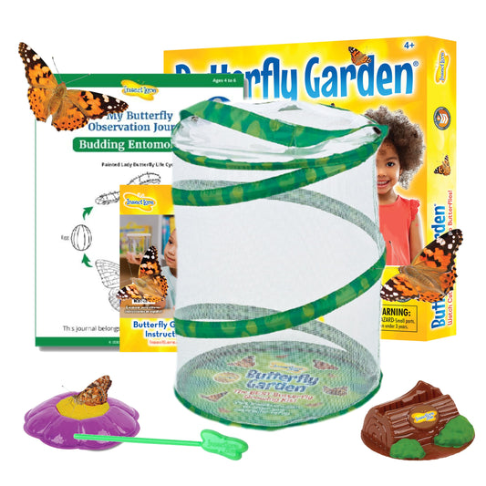 Insect Lore Raise and Release Butterfly Garden Kit – Caterpillar Habitat with redeemable Voucher – STEM-accredited Live Butterfly Growing Kit for Kids, Classrooms, and Homeschool Learning