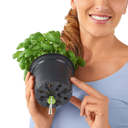 Lechuza Cube Color 16 Self Watering Plant Pot, White, 17 cm Diameterx 17 cm Width x 16 cm Height