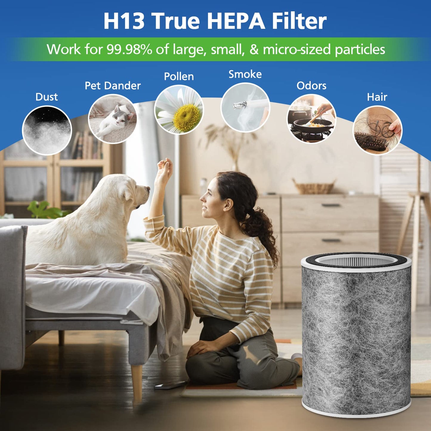 HP302 HP301 Replacement Filter Compatible with Shark HP202 HP201 HC502 HP232 HC501 AP1000 Air Purifier MAX, Cleans up to 99.97% of particles, Part # HE2FKBAS, HE2FKBASMB, 1 Pack