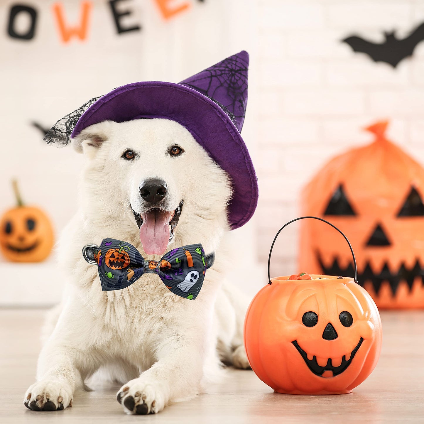 2 Pack Halloween Dog Collar with Bowtie, Holiday Jack-O-Lantern and Pumpkin Collar for Small Medium Large Dogs Pets Puppies (Large)