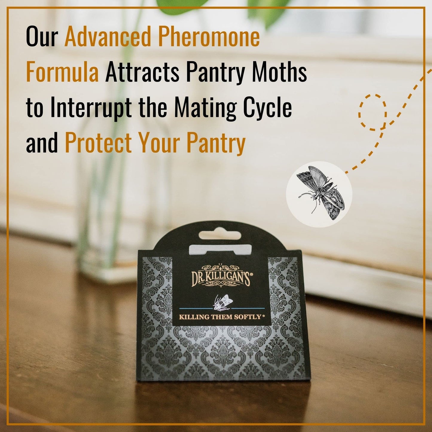 Dr. Killigan's Premium Double Potent Pantry Moth Traps with Pheromones Prime, Sticky Indian Meal Moth Traps for Kitchen, How to Get Rid of Moths in House, Organic Moth Pheromone Traps (6 Pack, Black)