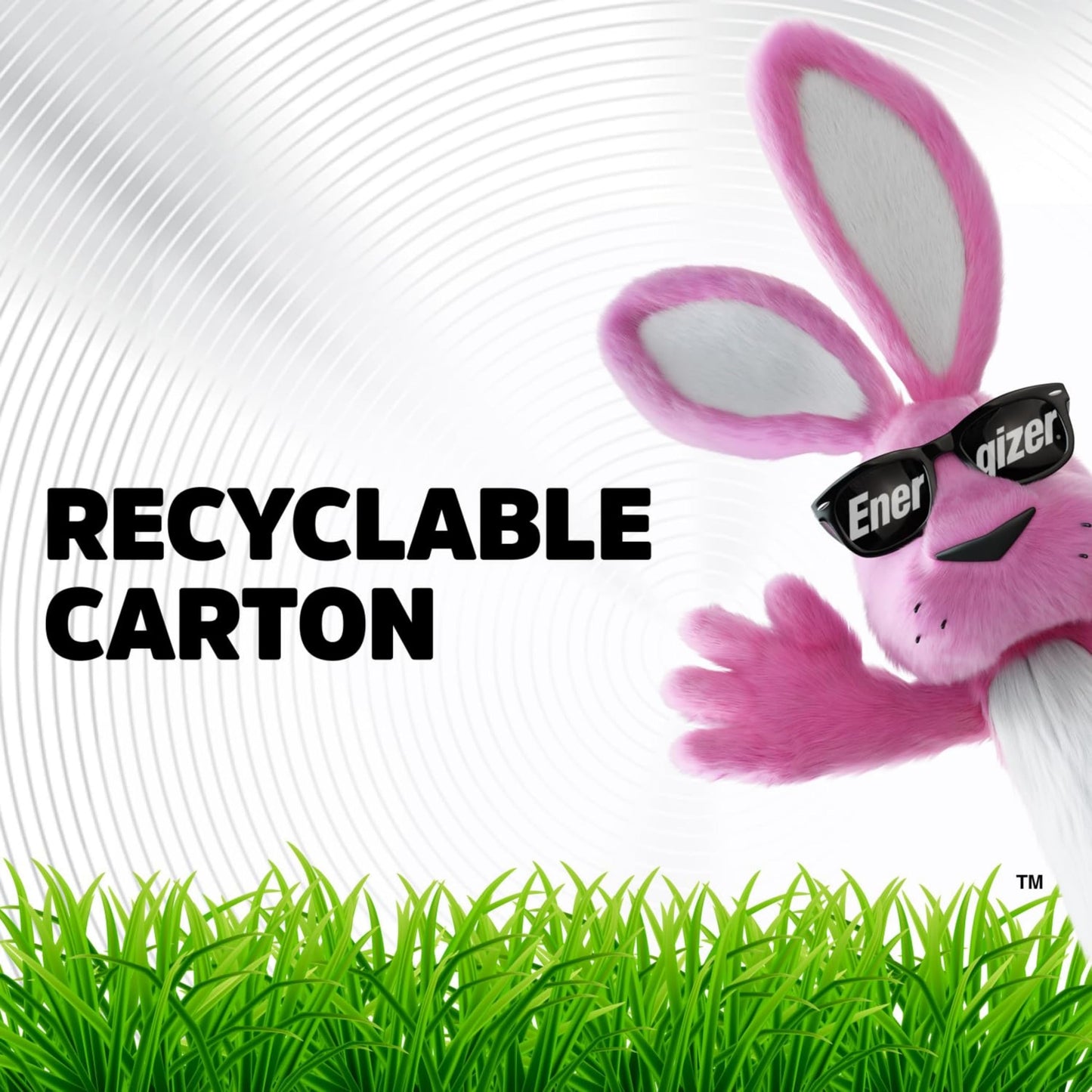 Energizer Alkaline Power D Batteries 12 Count (Pack of 1), Long-Lasting Alkaline Size D Batteries