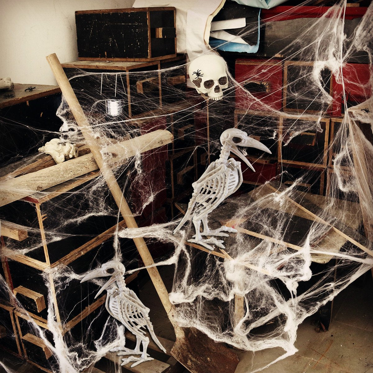 Crazy Bonez Skeleton Raven