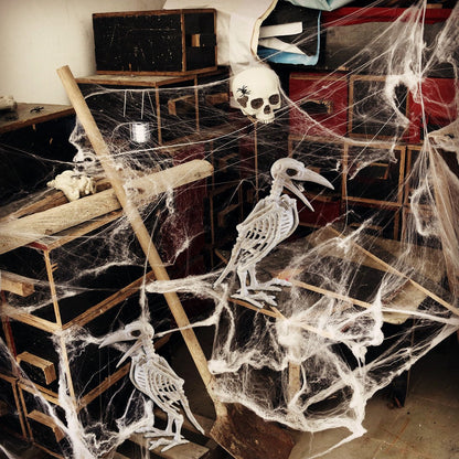 Crazy Bonez Skeleton Raven