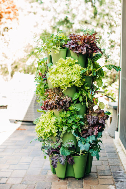 Greenstalk Patented Large 5 Tier Vertical Garden Planter with Patented Internal Watering System Great for Growing a Variety of Strawberries, Vegetables, Herbs, & Flowers (Evergreen)