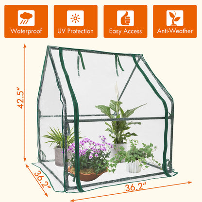 Gardzen Mini Greenhouse Heavy Duty Portable Green House, Clear Tent Small Greenhouse for Indoor Outdoor Plants 36.2”(L) x36.2”(W) x42.5”(H)