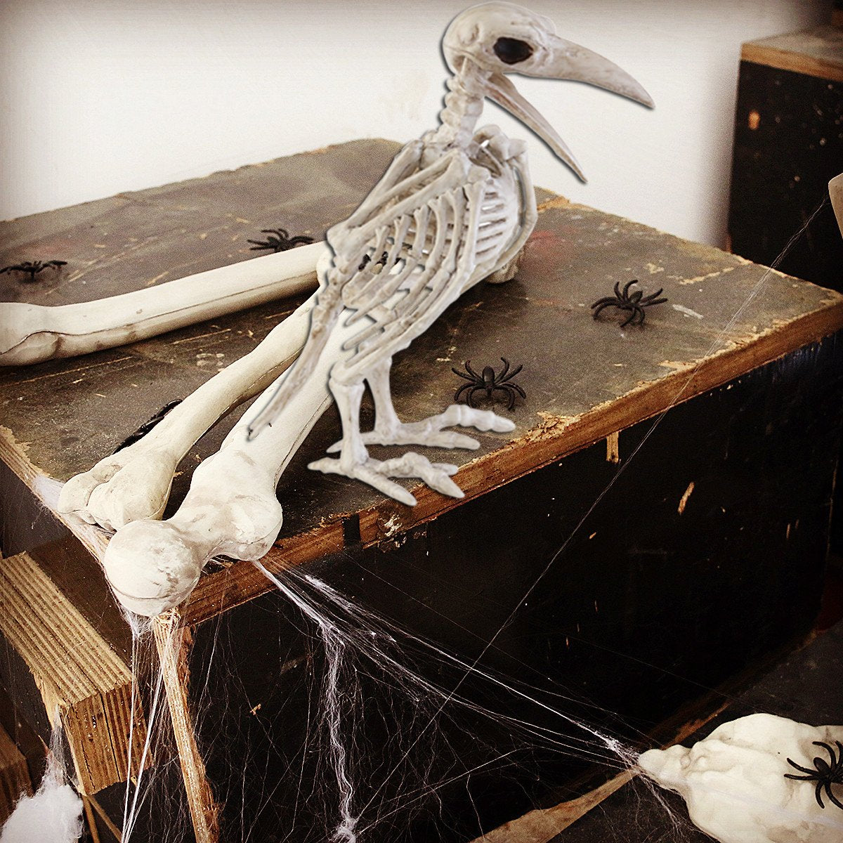 Crazy Bonez Skeleton Raven