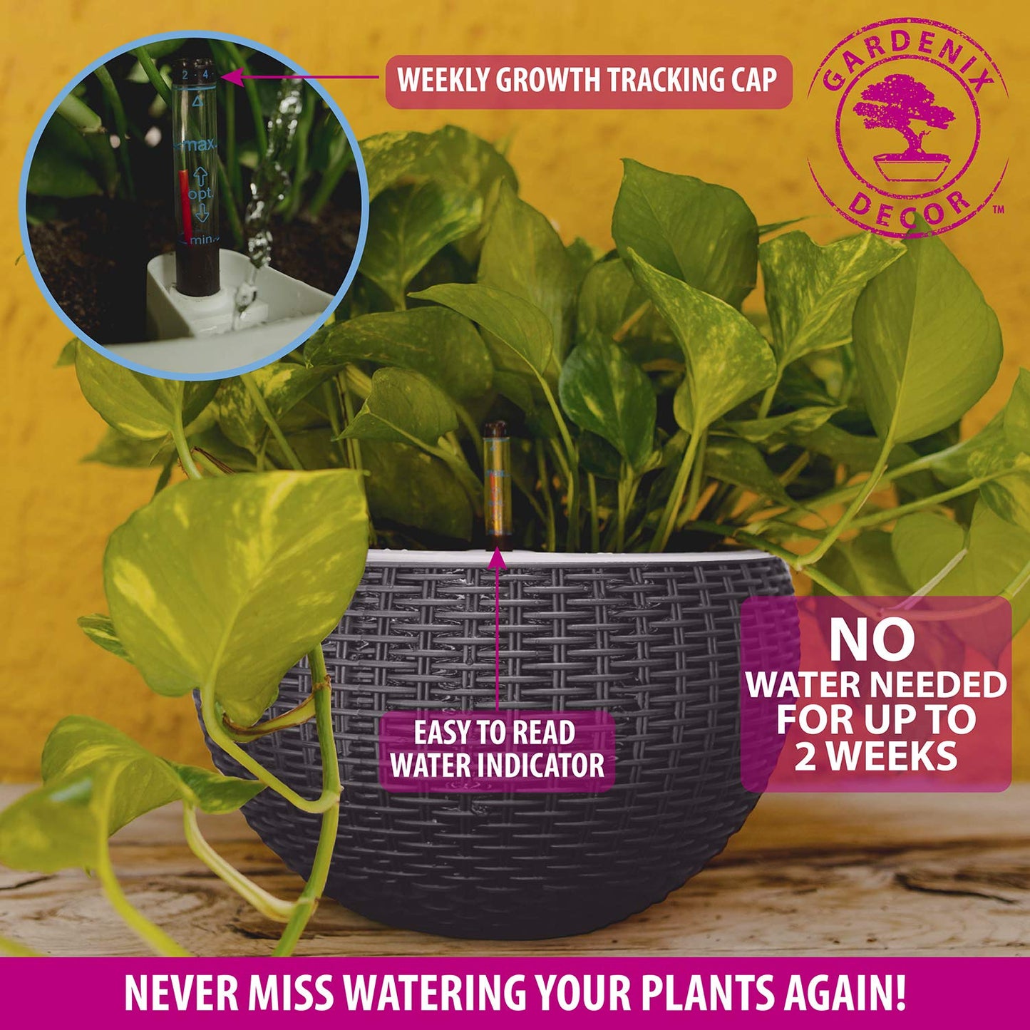 GARDENIX DECOR 11'' Self Watering Hanging planters for Indoor Plants - Flower Pot with Water Level Indicator for Plants, Hanging pots - Self Watering Planter Plant Pot-Coco Coir - Round 1 Pack - Gray