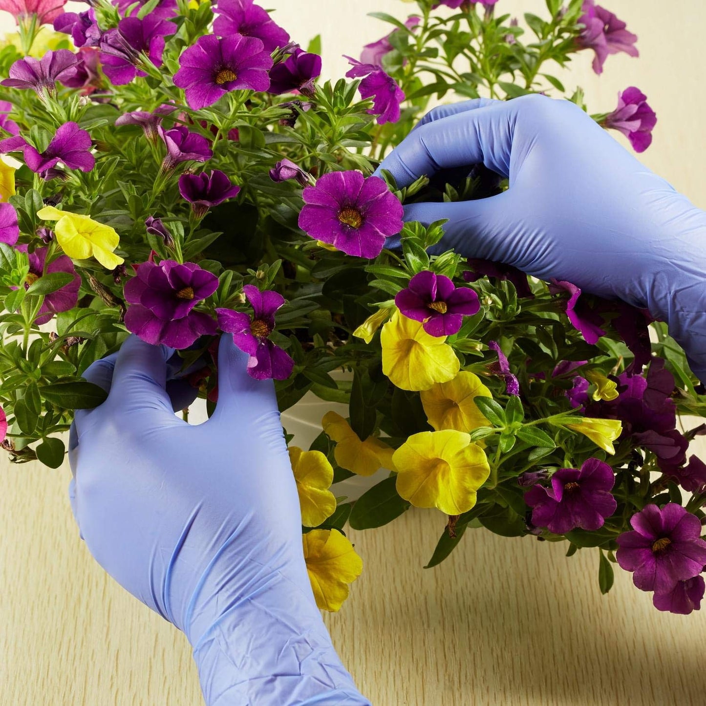 Kids Disposable Nitrile Gloves for 7-14 Years - Latex Free, Food Grade, Powder Free - for Halloween Preparation, Crafting, Painting, Gardening, Cooking, Cleaning - 100 PCS Purple