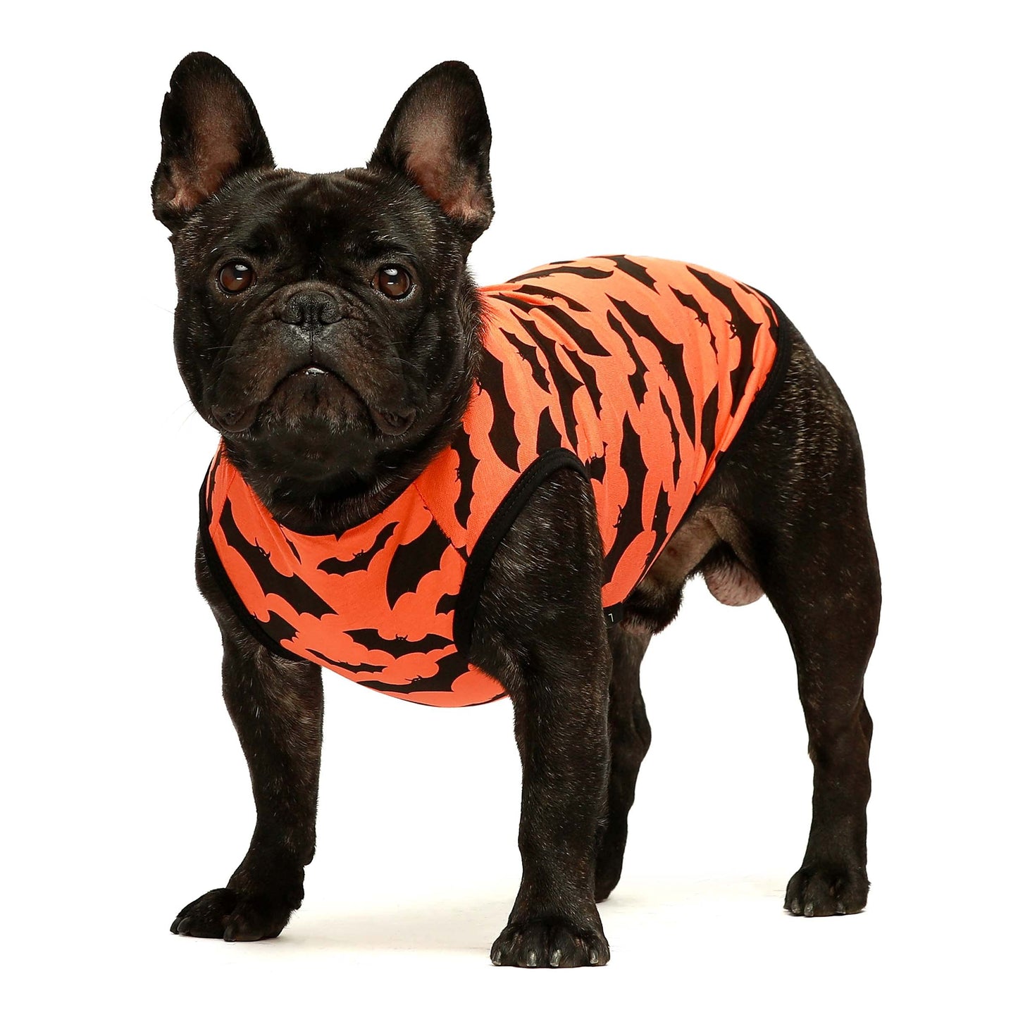 Fitwarm 100% Cotton Halloween Dog Clothes Scary Bat Dog Costumes Doggie Shirts Puppy Shirt Pet Vest Tank Top Cat Tee Orange X-Small