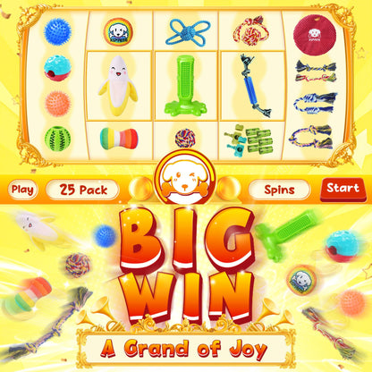 KIPRITII 25 Pack Various Puppy Dog Toys for Teething, Entertainment & Interaction, Puppy Chew Toys Pack with Rope Toy, Treat Balls and Dog Squeaky Toys for Puppies & Small Dogs