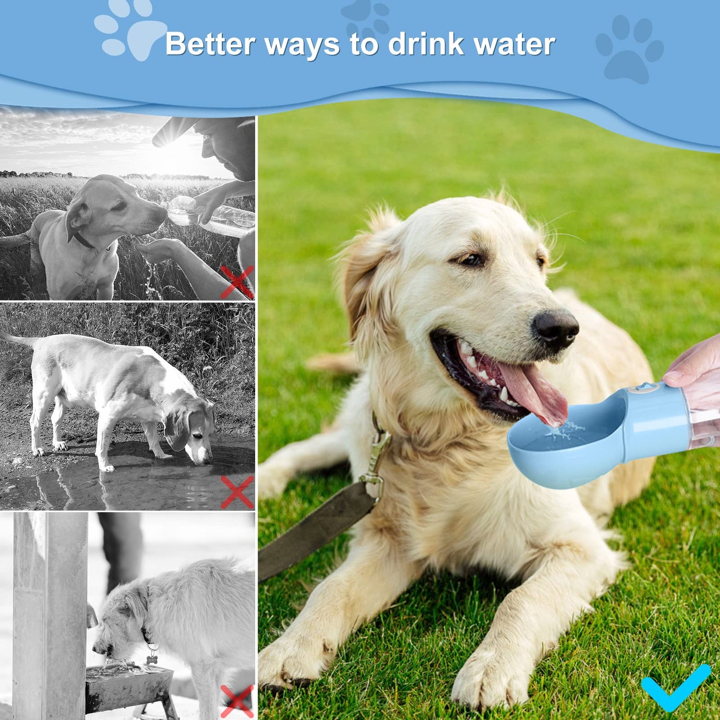 Dog Water Bottle with Food Container, Portable Dogs Water Dispenser, Outdoor Drink Bottles for Puppy, Cat, Pet, Essential Items for Travel, Walking, Hiking, Dog Accessories (Blue, with Food Container)