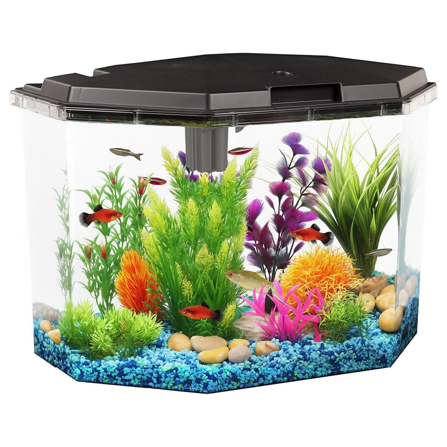 Koller Products 6.5-Gallon Aquarium Kit with Power Filter and LED Lighting, (AP650)