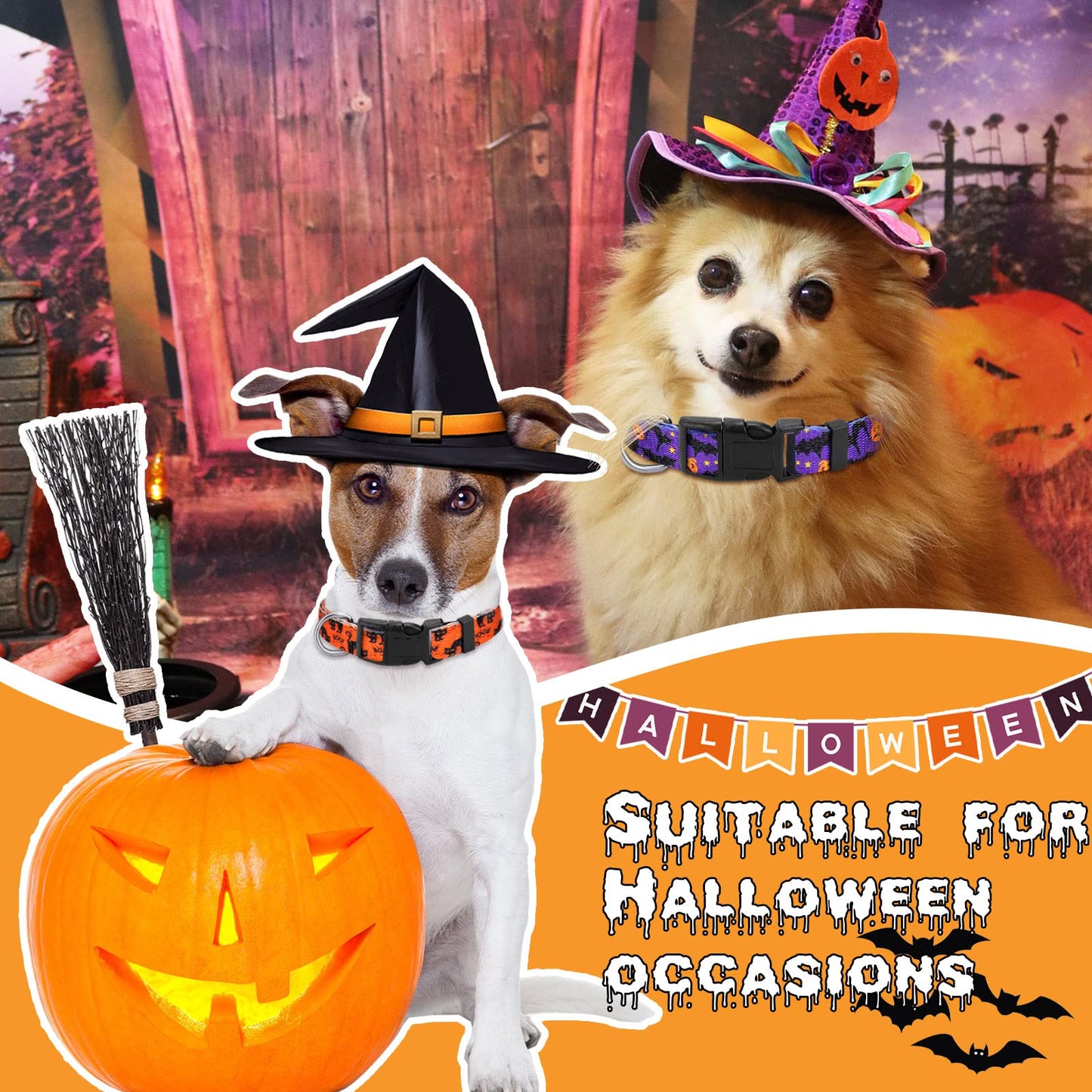 6 Pcs Halloween Dog Collars for Pumpkin Basic Adjustable Lightweight Holiday Comfortable Dog Collars with Plastic Buckle for Puppy Small Medium Large Pets(Medium)