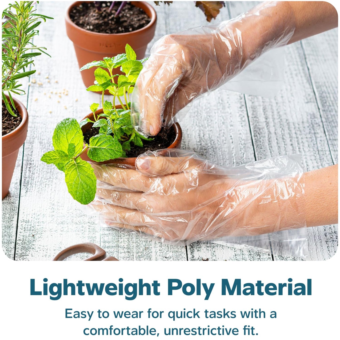 Comfy Package [500 Count Disposable Poly Plastic Gloves for Cooking, Food Prep, and Food Service, Latex & Powder Free - One Size Fits Most