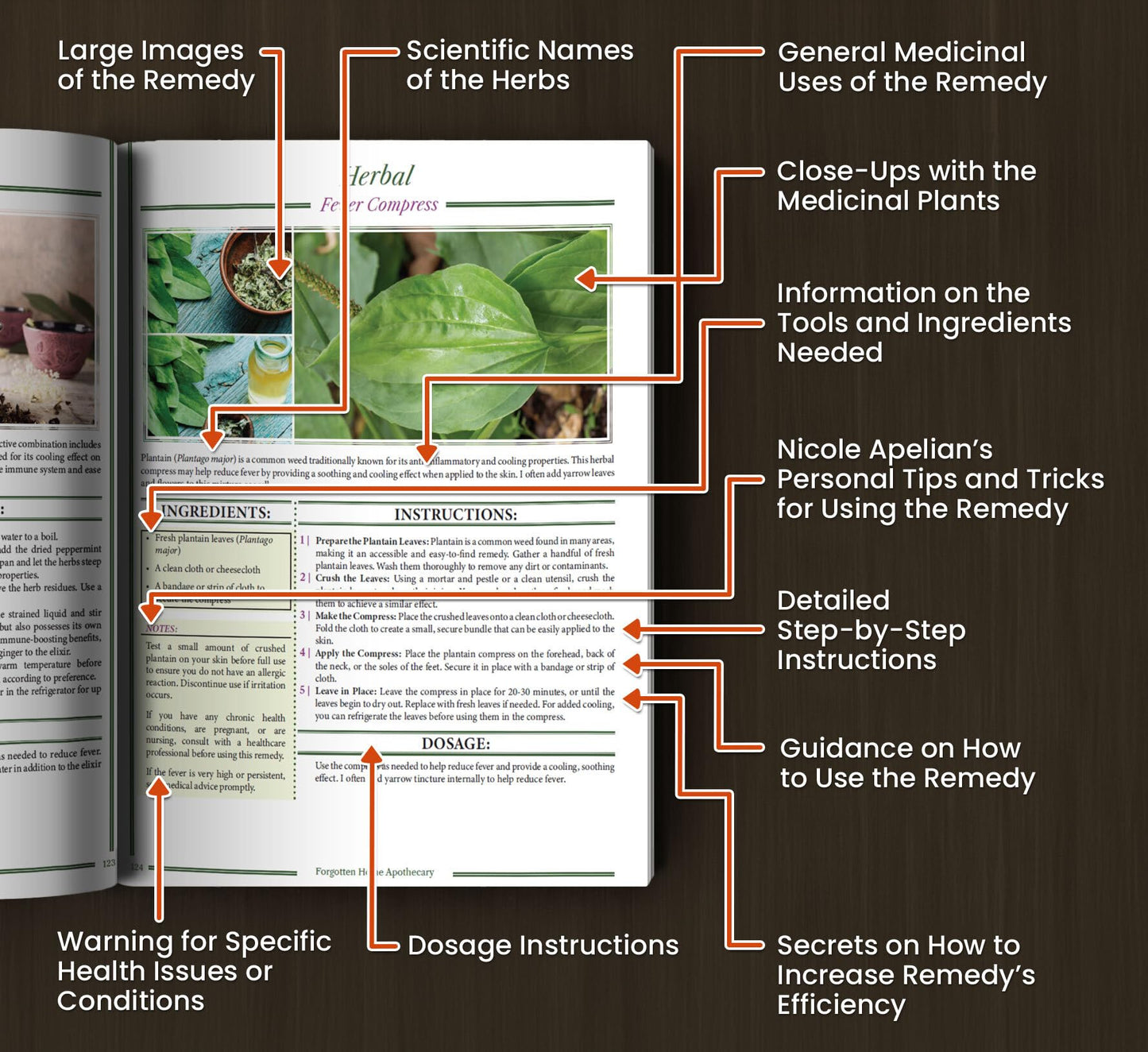 Forgotten Home Apothecary : 250 Powerful Remedies at Your Fingertips