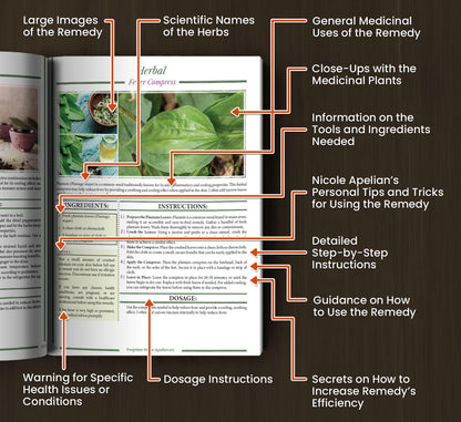Forgotten Home Apothecary : 250 Powerful Remedies at Your Fingertips