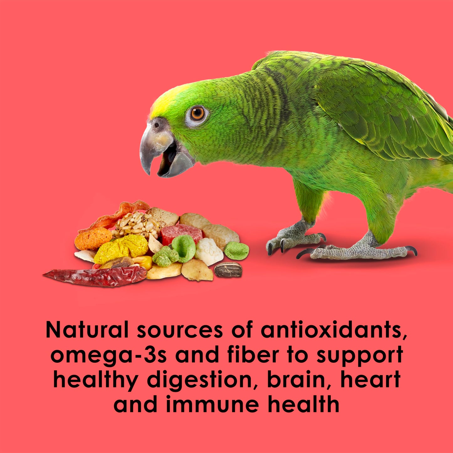 Kaytee Fiesta Parrot Food, Nutritious and Fun Blend, Supports Skin, Feather, Digestion, Brain and Heart Health, 4.5 pounds