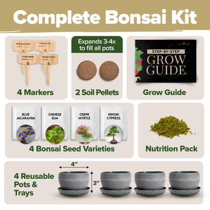 HOME GROWN Bonsai Tree Kit – Grow 4 Bonsai Types Indoors with Complete Starter Kit Including Pots Peat Pellets and Bonus Grow Guide – Unique Gardening Gift for Men Women Beginners