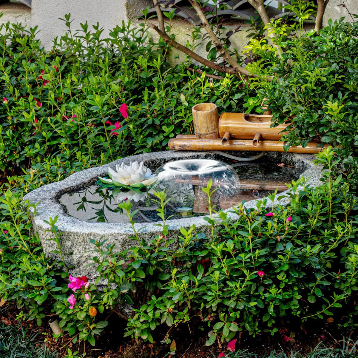 ECO-WORTHY Solar Fountain Water Pump Kit 12 W, 196 GPH+ 12 Watt Solar Panel Submersible Powered Pump for Small Pond, Garden Decoration, Pool, Birdbath(Need Sunlight) Black