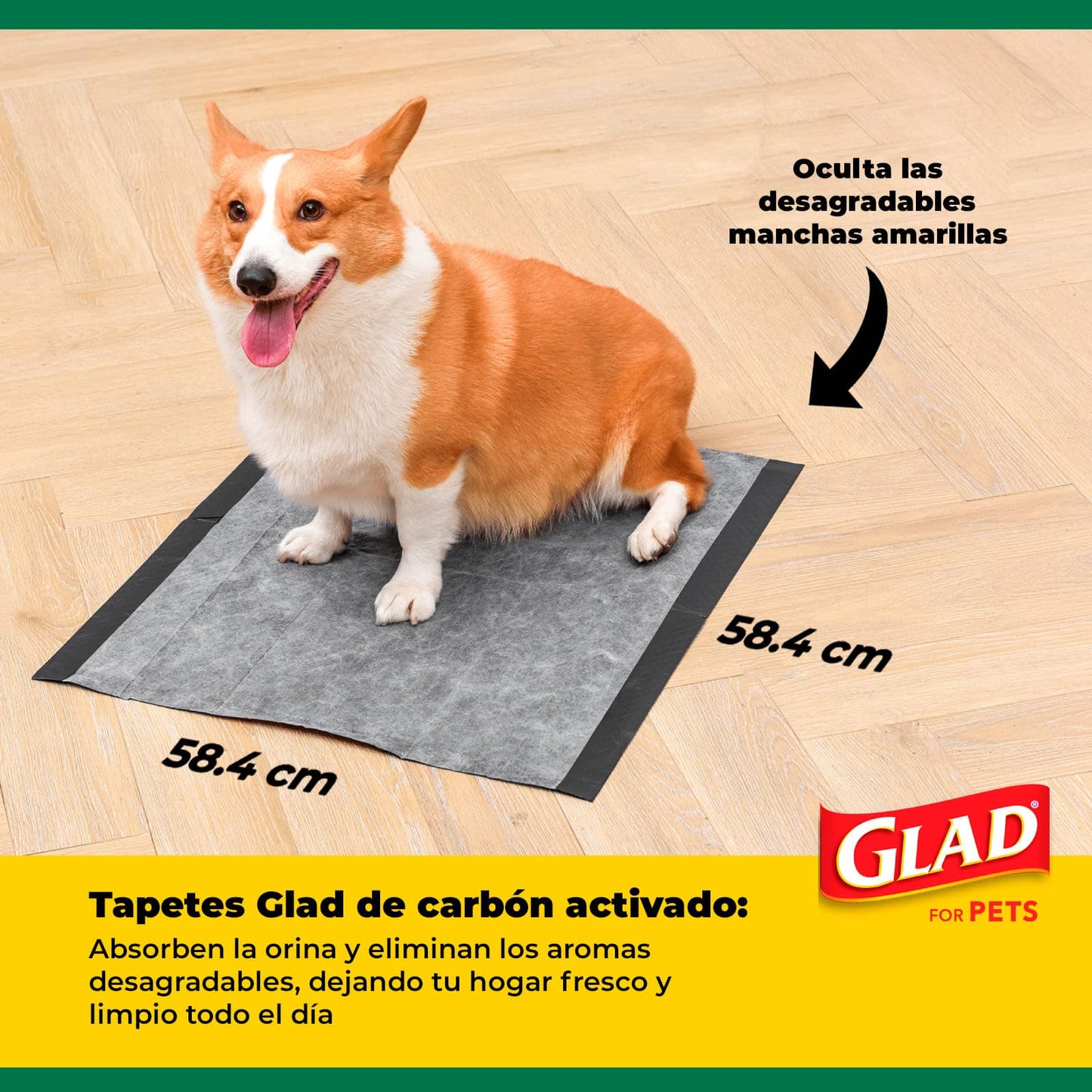 Glad for Pets Black Charcoal Puppy Pads, 23"x23" Disposable Pee Pad That Absorbs & Neutralizes Urine Instantly, Activated Carbon Training Pads For Dogs - 100 Count