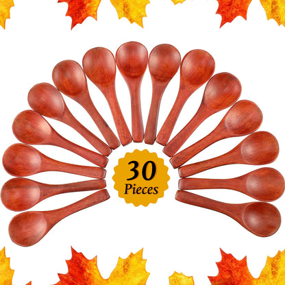 30 Pcs Small Wooden Spoons, 3. 5 Inch Mini Wood Natural Spoons for Jars Tasting Condiments Salt Sugar Coffee Tea Honey Spices, Tiny Wooden Teaspoons for Kitchen Supplies(Dark Brown)