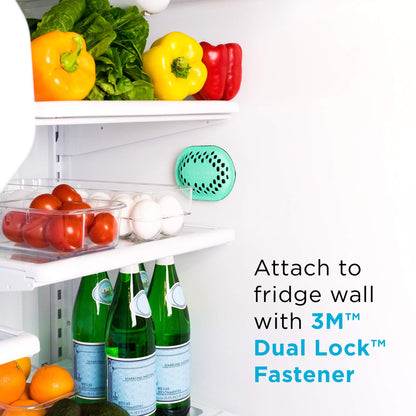 remodeez Refrigerator Deodorizer and Odor Eliminator, Activated Charcoal Bags, Charcoal Air Purifiers, Odor & Moisture Absorber