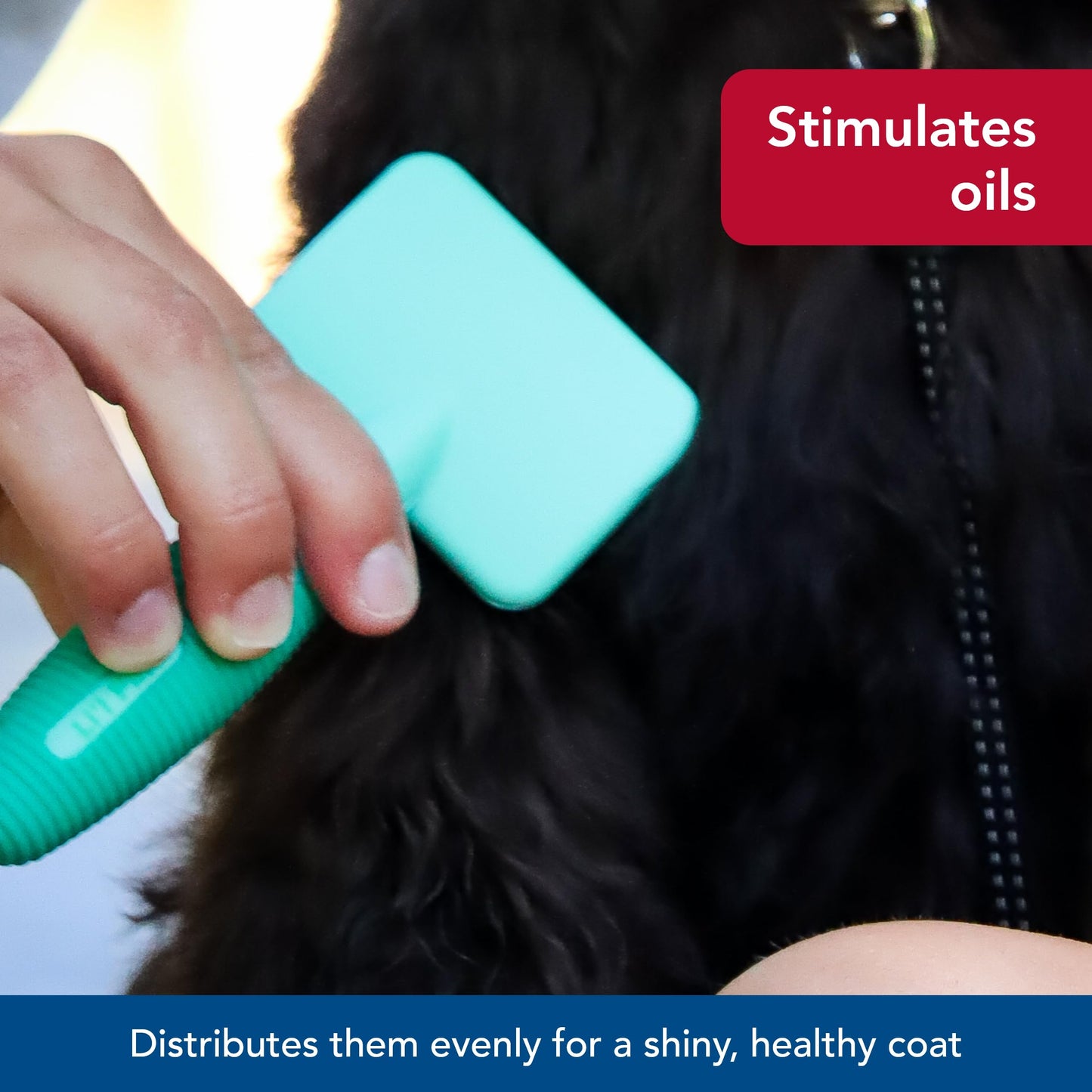 Coastal Pet Li'l Pals Dog Slicker Brush with Coated Tips - Dog Grooming Brush for Small Breeds & Puppies - One Size