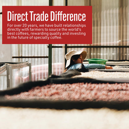 Intelligentsia Coffee, Light Roast Whole Bean Coffee - House Blend 12 Ounce Bag