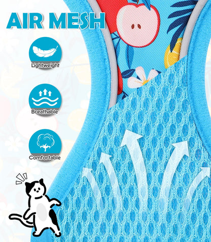 Halypet Cat Harness and Leash Set[MAX Safety 4th-Gen] Cute Escape Proof Vest Harness for Girl&Boy Cat Walking, Comfortable Adjustable Leash and Reflective Strips for Outdoor Kitten, S Azure Floral