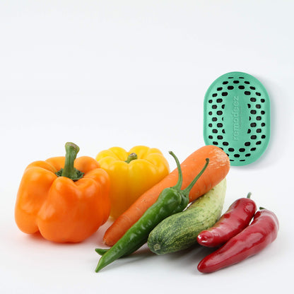 remodeez Refrigerator Deodorizer and Odor Eliminator, Activated Charcoal Bags, Charcoal Air Purifiers, Odor & Moisture Absorber