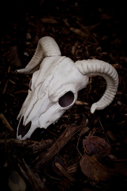 Crazy Bonez - Ram Skull